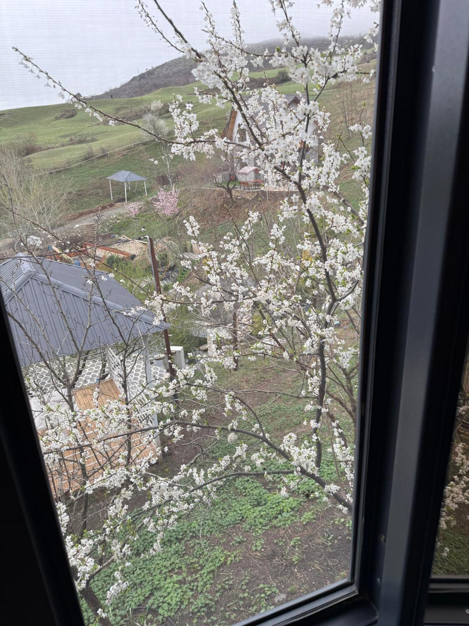 Qizil Farel Villa Ismayilli Oda fotoğraf